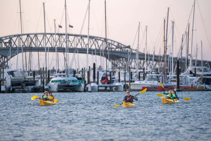 Auckland: City Lights Night Kayak Tour - Who will enjoy this night kayak most