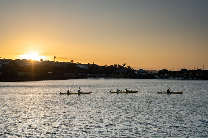 Auckland City Lights Night Kayaking Tour - Why Auckland looks different from a kayak at night