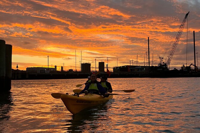 Auckland City Lights Night Kayaking Tour - Who will enjoy this evening paddle