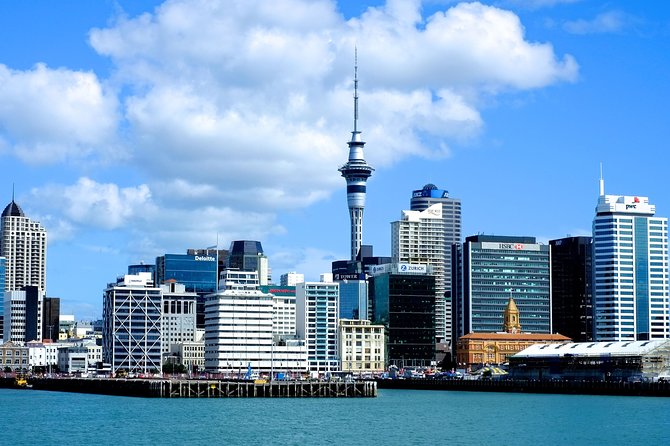 Auckland City & Native Forest Experience - Fully Guided Day Tour - A full Auckland day, from harbour to rainforest