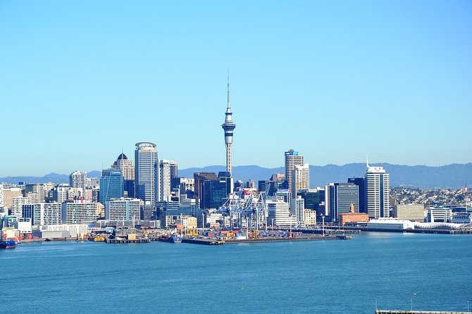 Auckland City & Native Forest Experience - Fully Guided Day Tour - Starting in Auckland’s central waterfront