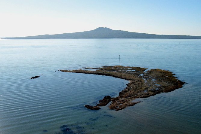 Auckland City & Native Forest Experience - Fully Guided Day Tour - Tamaki Drive, Bastion Point and the Hauraki Gulf