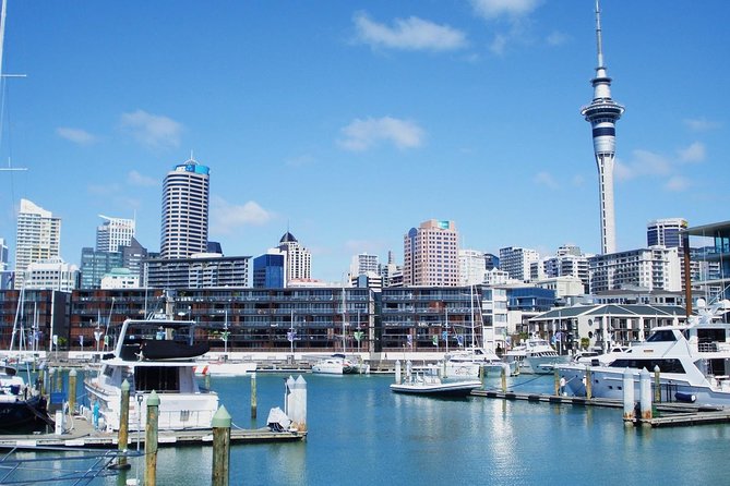 Auckland City Private Tour for Couples. Be chauffeur driven with added extras. - Mission Bay offers a quick seaside break