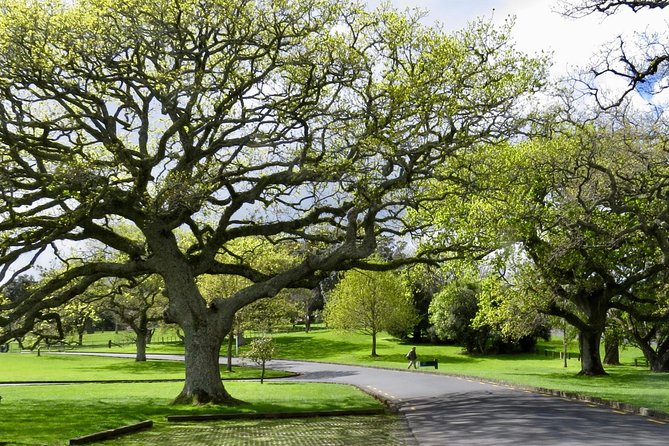 Auckland City Private Tour for Couples. Be chauffeur driven with added extras. - Westhaven and the Harbour Bridge connect the city to the water