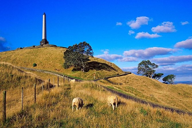 Auckland City Private Tour for Couples. Be chauffeur driven with added extras. - Mount Eden gives you the essential Auckland view