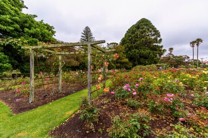 Auckland City Self Guided Walking Tour with an APP - Parnell Rose Gardens and the final view