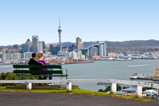 Auckland City Small-Group Morning Discovery Tour - A fast first look at Auckland