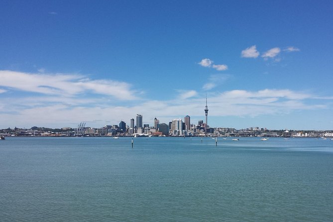 Auckland City Small-Group Morning Discovery Tour - Westhaven Marina and Waitematā Harbour