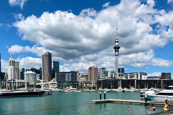 Auckland City Top Sights Half Day Tour - Small Group - Why this four-hour route works well