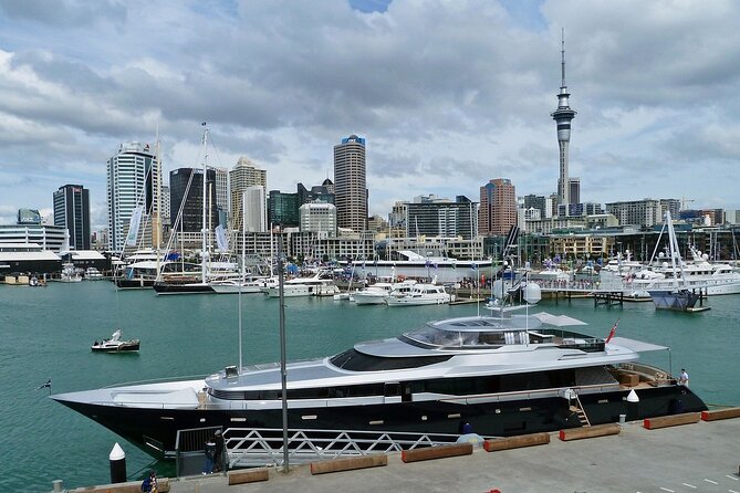 Auckland City Top Sights Half Day Tour - Small Group - Auckland Domain’s Wintergarden: a quiet change of pace