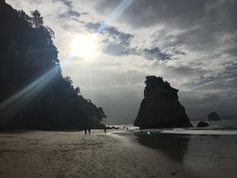 Auckland: Coromandel Day Tour including Hot Water Beach - Digging a hot pool at Hot Water Beach