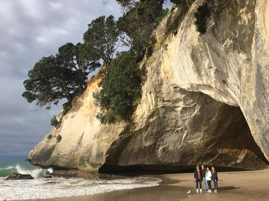 Auckland: Coromandel Day Tour including Hot Water Beach - The Auckland pickup and 12-hour schedule