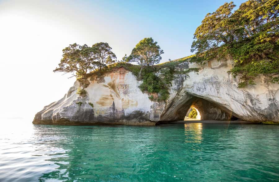 Auckland: Coromandel Driving Creek & Cathedral Cove Day Tour - Why Driving Creek Railway makes this tour different