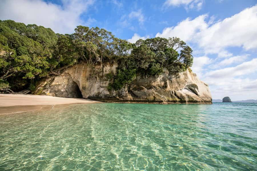 Auckland: Coromandel Driving Creek & Cathedral Cove Day Tour - The 6:15 AM start and the road to Coromandel Town