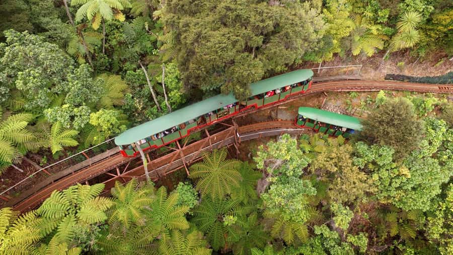 Auckland: Coromandel Driving Creek & Cathedral Cove Day Tour - Whitianga gives you two hours to reset