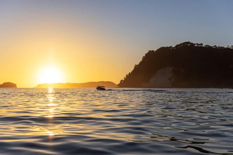 Auckland: Coromandel Driving Creek & Cathedral Cove Day Tour - Cathedral Cove by boat and along the track