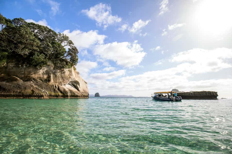 Auckland: Coromandel Driving Creek & Cathedral Cove Day Tour - A guide can make the long drive worthwhile