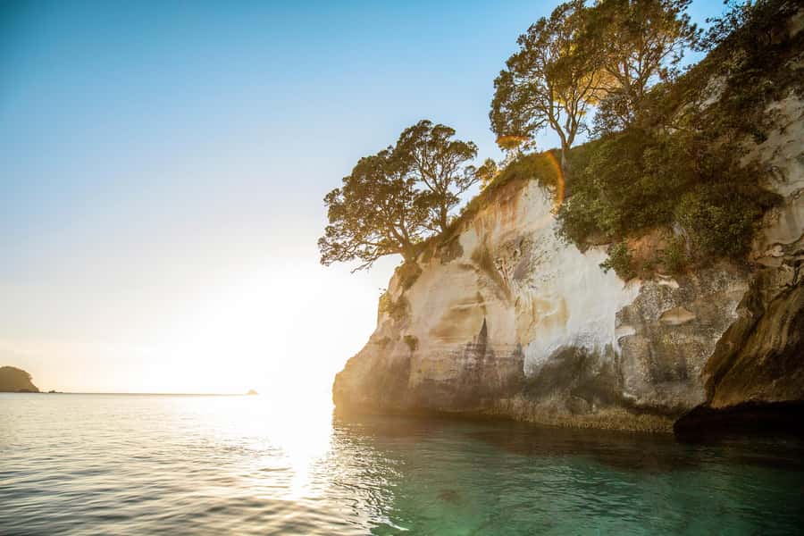 Auckland: Coromandel Driving Creek & Cathedral Cove Day Tour - What to pack for this Coromandel day
