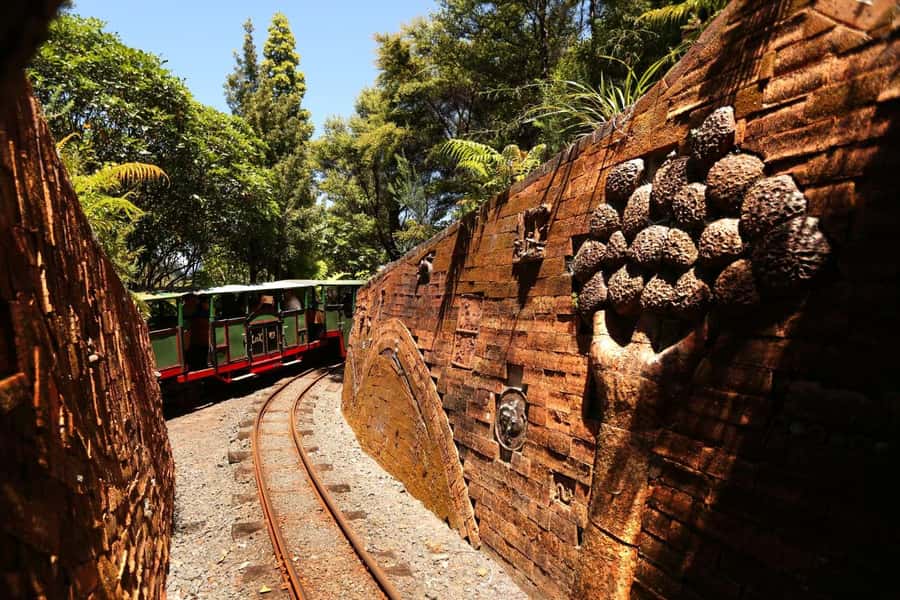 Auckland: Coromandel Driving Creek & Cathedral Cove Day Tour - Who should book this day trip?