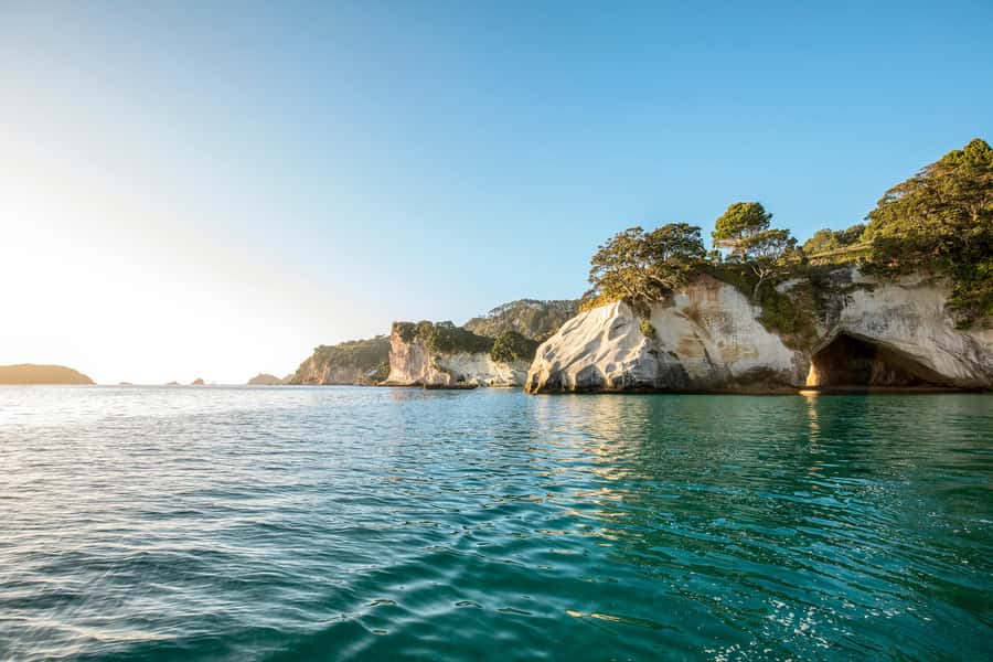 Auckland: Coromandel Driving Creek & Cathedral Cove Day Tour - Should you book the Driving Creek and Cathedral Cove tour?