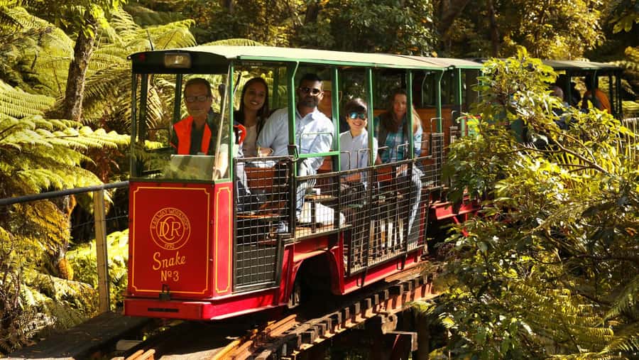 Auckland: Coromandel Driving Creek & Cathedral Cove Day Tour - Coromandel Town, art, and a railway made by hand