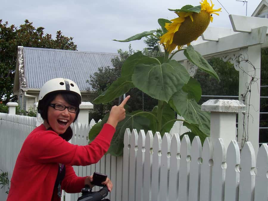 Auckland: Devonport Village Segway Tour - Learning to control the Segway at Victoria Wharf