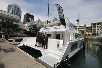 Auckland Dolphin and Whale Watching Eco-Safari Cruise