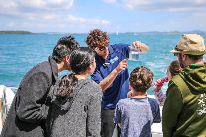 Auckland Dolphin and Whale Watching Eco-Safari Cruise - Dolphins, Bryde’s Whales, and the Big Payoff
