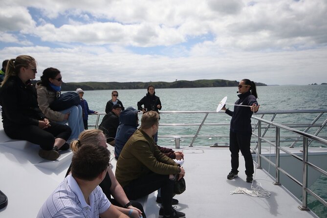 Auckland Dolphin and Whale Watching Eco-Safari Cruise - Penguins, Seals, Sharks, and Seabirds