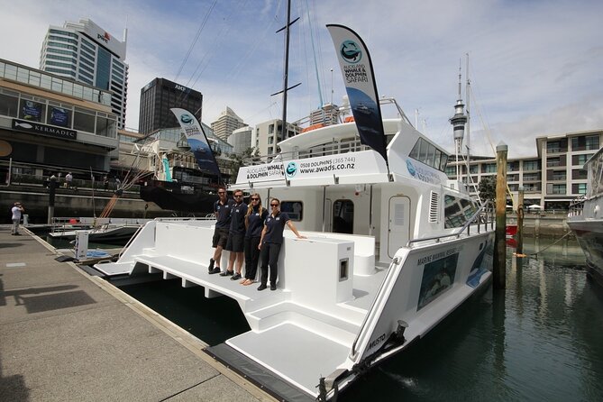 Auckland Dolphin and Whale Watching Eco-Safari Cruise - Rangitoto, Waitemata Harbour, and the Gulf