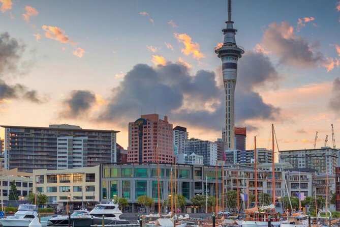 Auckland Downtown Hotel Transfers to/from Cruise Ship in Minivan - Timing, operating hours, and the one scheduling caution
