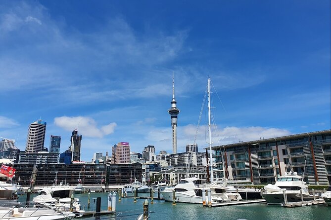 Auckland Full Day Attractions & Museums Tour - Auckland Art Gallery, a strong final indoor stop