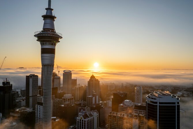 Auckland Full Day Attractions & Museums Tour - Mount Eden, Auckland from a volcanic summit