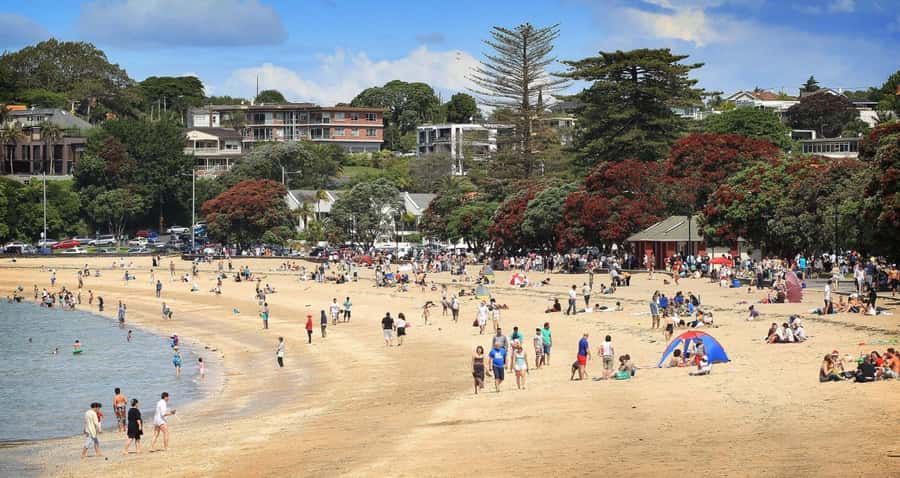 Auckland: Full-Day City Tour - Why this full-day route works for Auckland