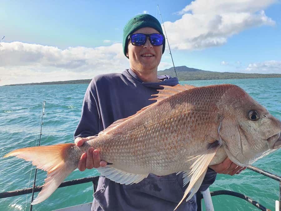 Auckland: Full-Day Fishing Charter (7 am - 4 pm) - A full Auckland fishing day from 7 am to 4 pm