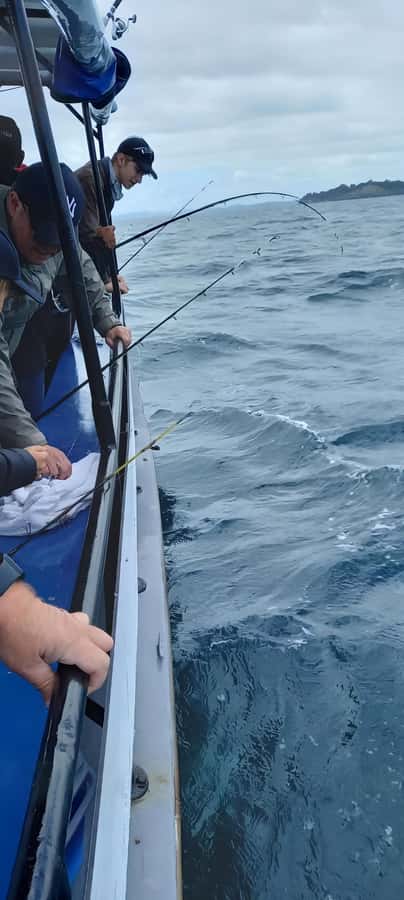 Auckland: Full-Day Fishing Charter (7 am - 4 pm) - Price, flexibility, and booking practicalities