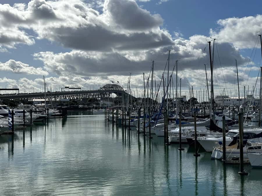 Auckland: GoGuided Auckland City Tour - Ponsonby, Victoria Park, and Karangahape Road