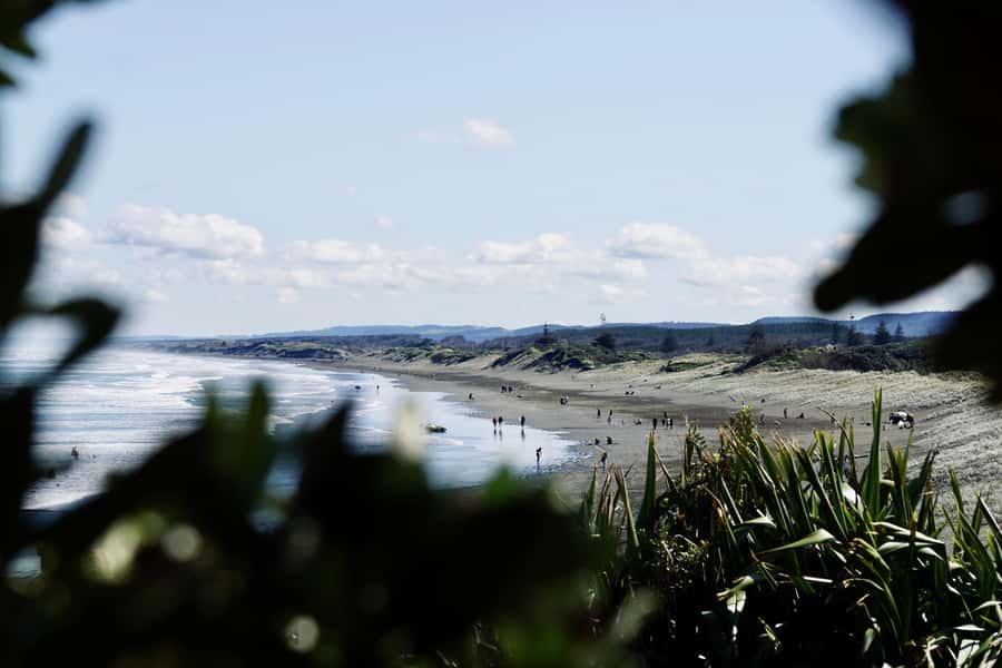 Auckland: Group Surfing Lesson with Muriwai Surf School - Who should book this Muriwai lesson?