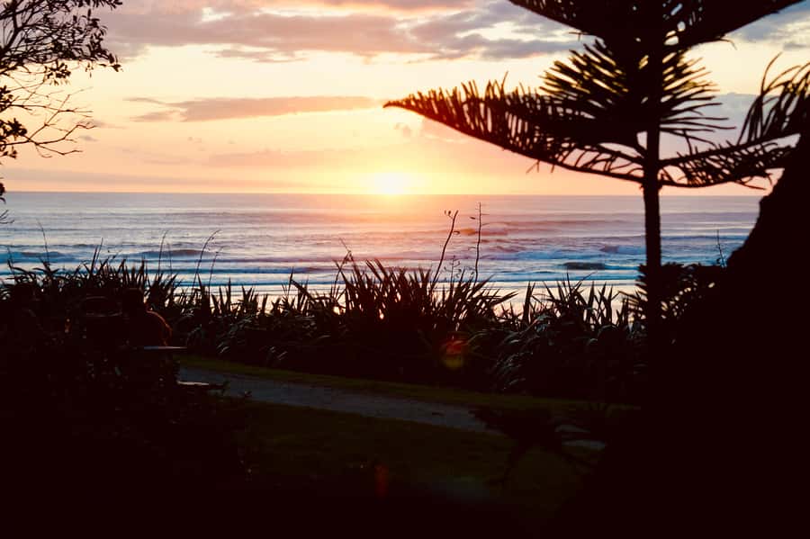 Auckland: Group Surfing Lesson with Muriwai Surf School - Booking, cancellation, and timing