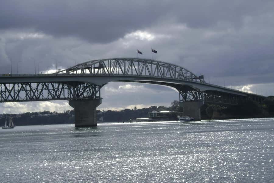 Auckland: Guided Small Group City Discovery Tour - Why this three-hour Auckland tour works