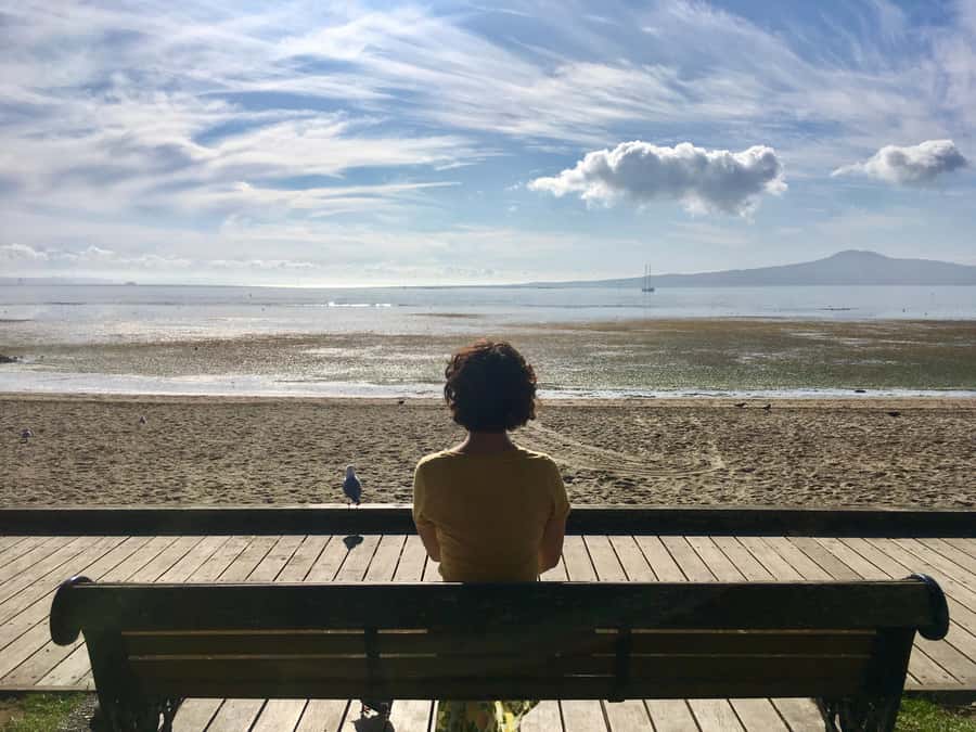 Auckland: Half-Day Auckland Volcanoes Tour - Climbing Maungarei, or Mount Wellington