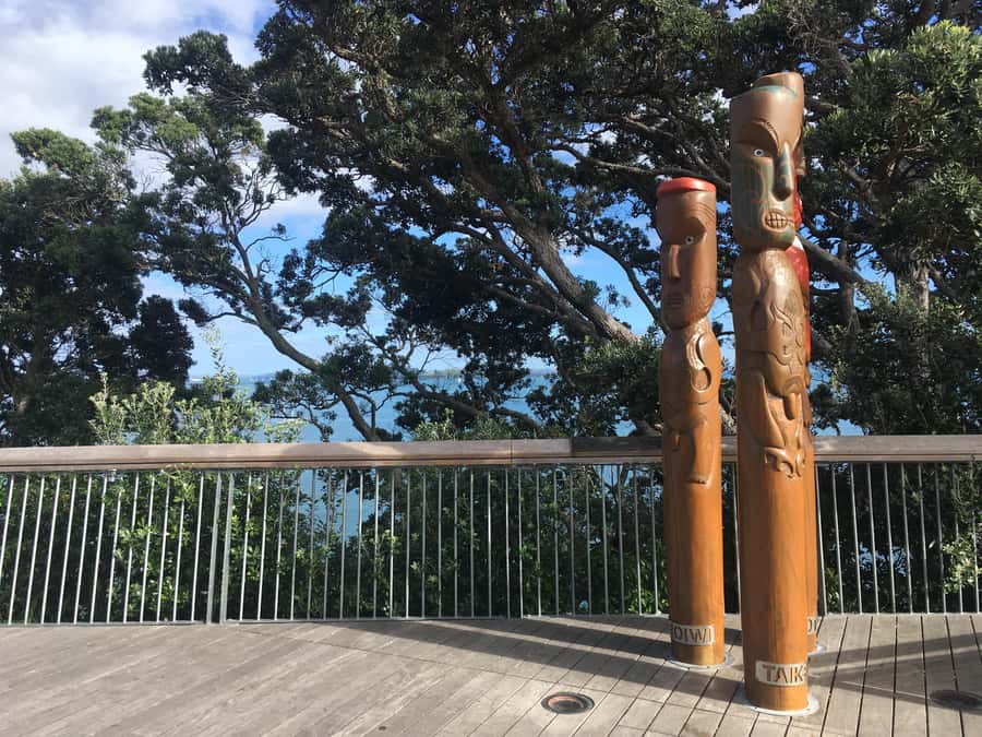 Auckland: Half-Day Auckland Volcanoes Tour - Starting at Achilles Point