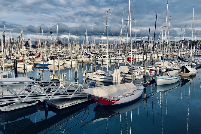 Auckland Half Day City Tour - Heart of Auckland - Why this half-day route works for Auckland