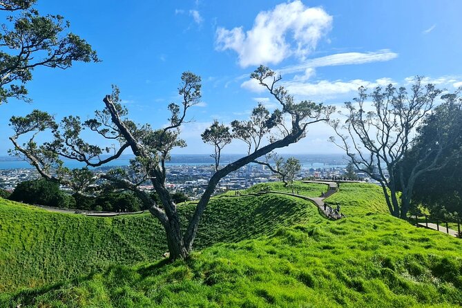 Auckland Half Day City Tour - Heart of Auckland - Guides who make the difference