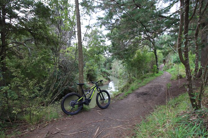 Auckland Half Day E-Bike Excursion - Henderson River, Opanuku Stream, and the return path