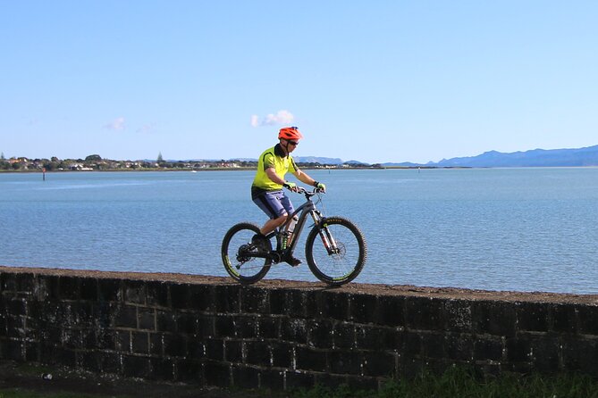 Auckland Half Day E-Bike Excursion - Who will get the most from this ride?