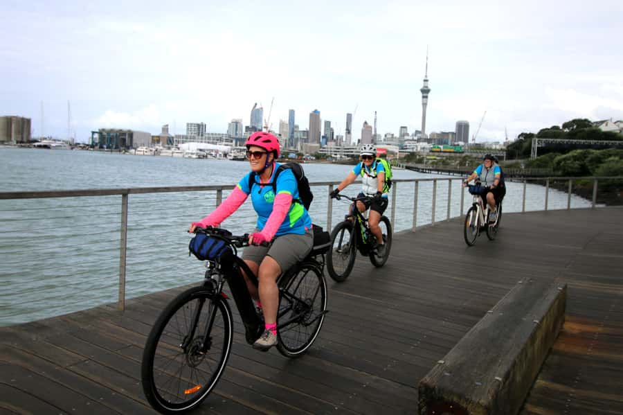Auckland Half-Day Ebike Tour Excursion - Key points to know before you book