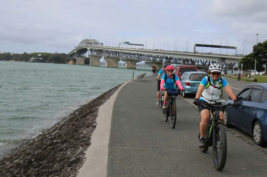 Auckland Half-Day Ebike Tour Excursion - Is $89 good value?