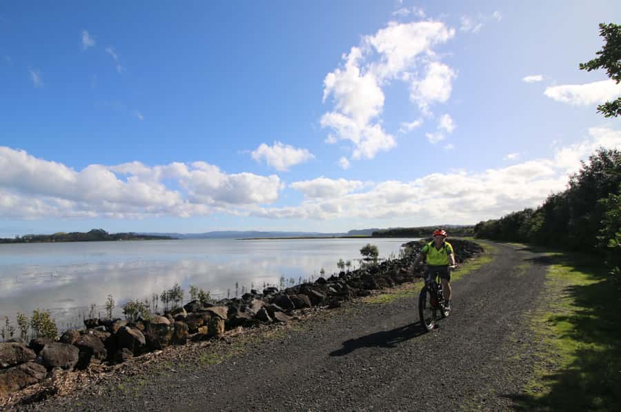Auckland Half-Day Ebike Tour Excursion - Why this ride shows a different Auckland