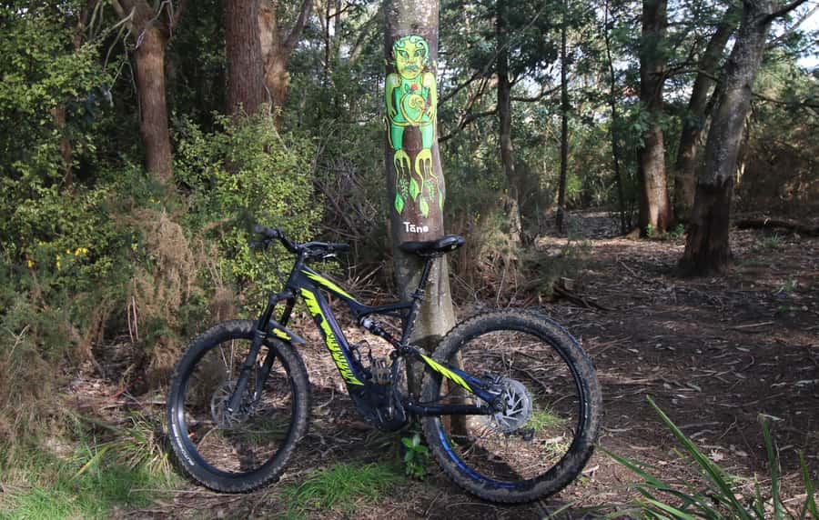 Auckland Half-Day Ebike Tour Excursion - Western Springs and Auckland’s largest lake